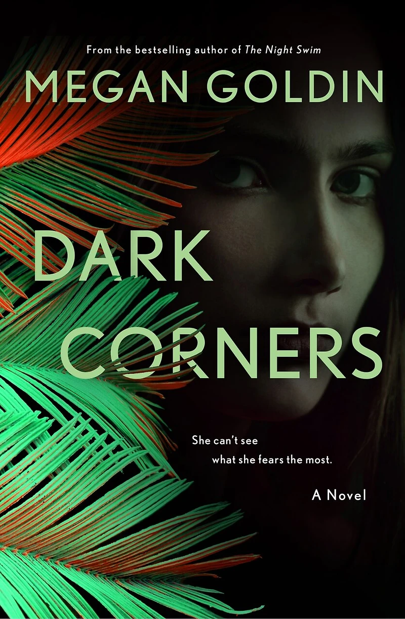 Dark Corners: A Novel