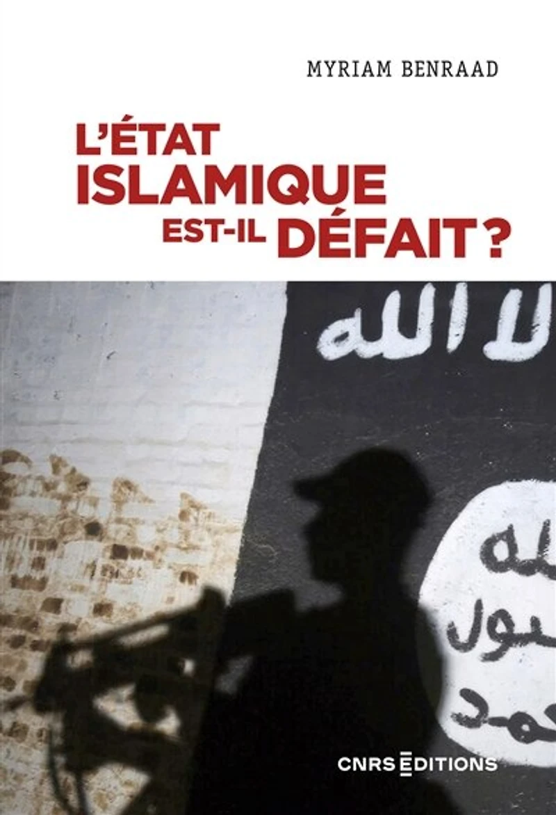 L' Etat islamique est-il défait ?