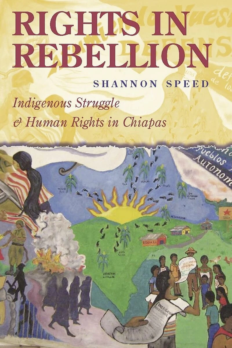 Rights Rebellion: Indigenous Struggle and Human Chiapas
