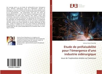 Etude de prefaisabilite pour l'emergence d'une industrie siderurgique: Issue de l'exploration minière au Cameroun