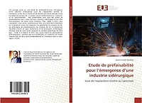 Etude de prefaisabilite pour l'emergence d'une industrie siderurgique: Issue de l'exploration minière au Cameroun