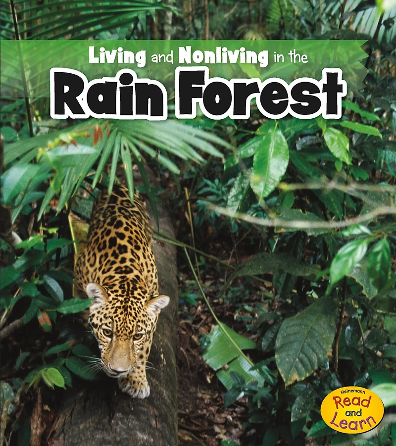 Living and Nonliving the Rain Forest