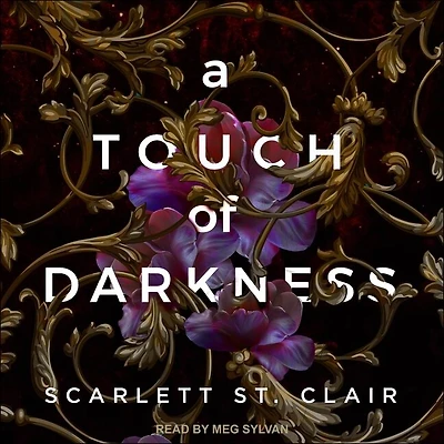 A Touch of Darkness Lib/E