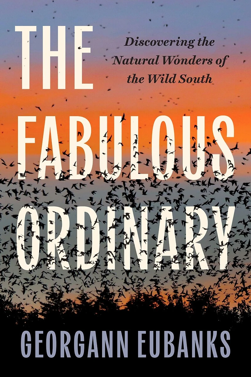 the Fabulous Ordinary: Discovering Natural Wonders of Wild South