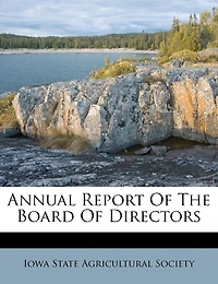 Annual Report Of The Board Of Directors