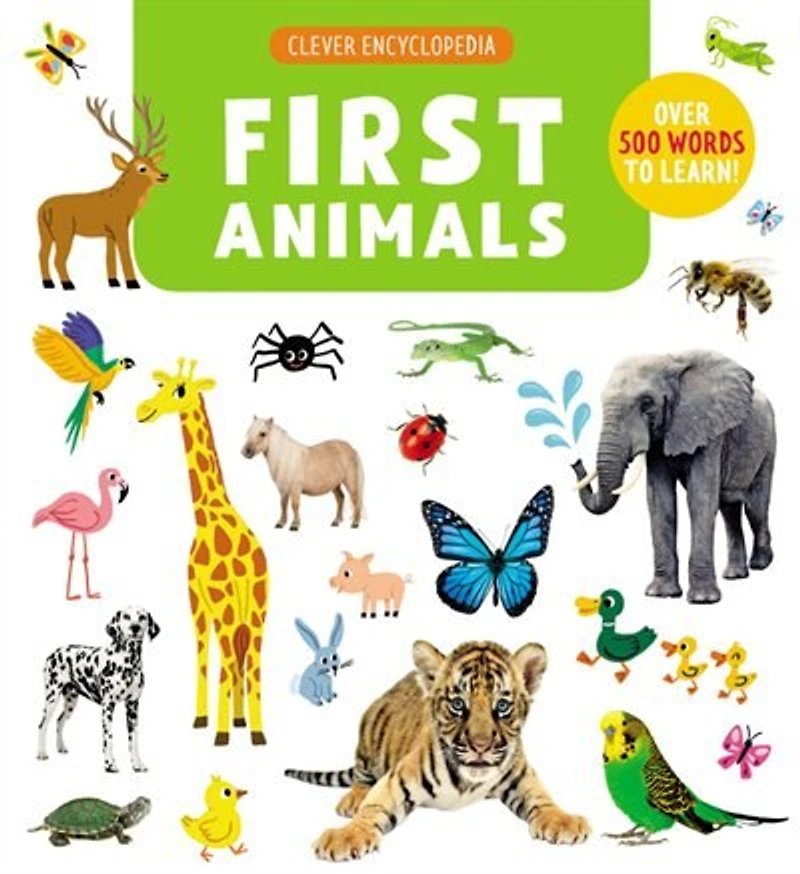 1ST ANIMALS: Over 500 Words To Learn!