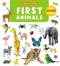 1ST ANIMALS: Over 500 Words To Learn!