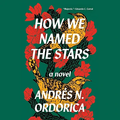 How We Named the Stars