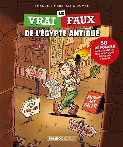 Le vrai-faux de l'Egypte antique: 50 réponses aux questions que vous posez sur