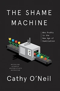 The Shame Machine: Who Profits New Age Of Humiliation