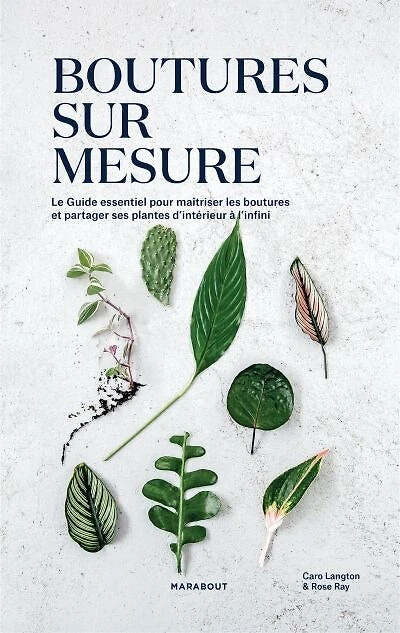 Boutures sur mesure: le guide essentiel pour maîtriser les boutures et partager ses plantes d'intérieur à l'infini