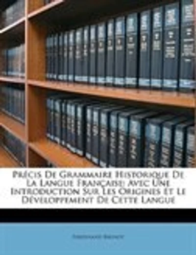 Précis De Grammaire Historique De La Langue Française: Avec Une Introduction Sur Les Origines Et Le Développement De Cette Langue