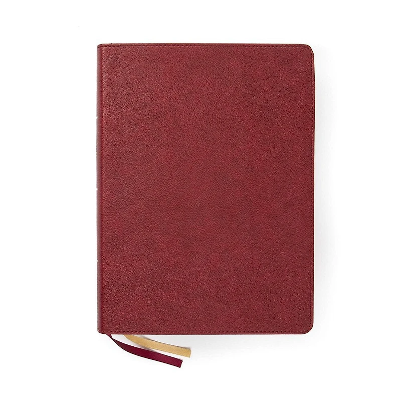 CSB Holy Land Illustrated Bible, Hardcover: A Visual Exploration of the People, Places, and Things Scripture