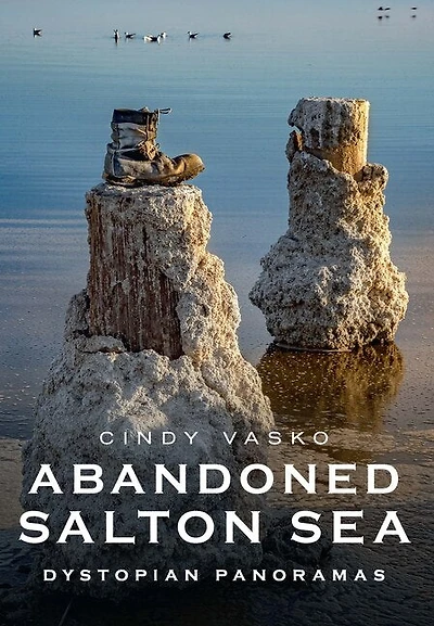 Abandoned Salton Sea: Dystopian Panoramas
