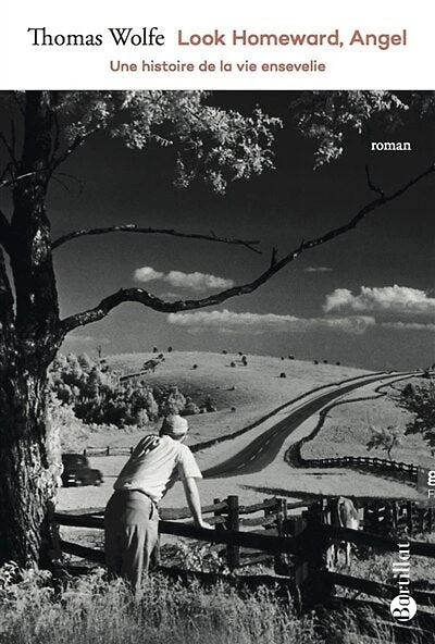 Look homeward, angel : une histoire de la vie ensevelie: une histoire de la vie ensevelie