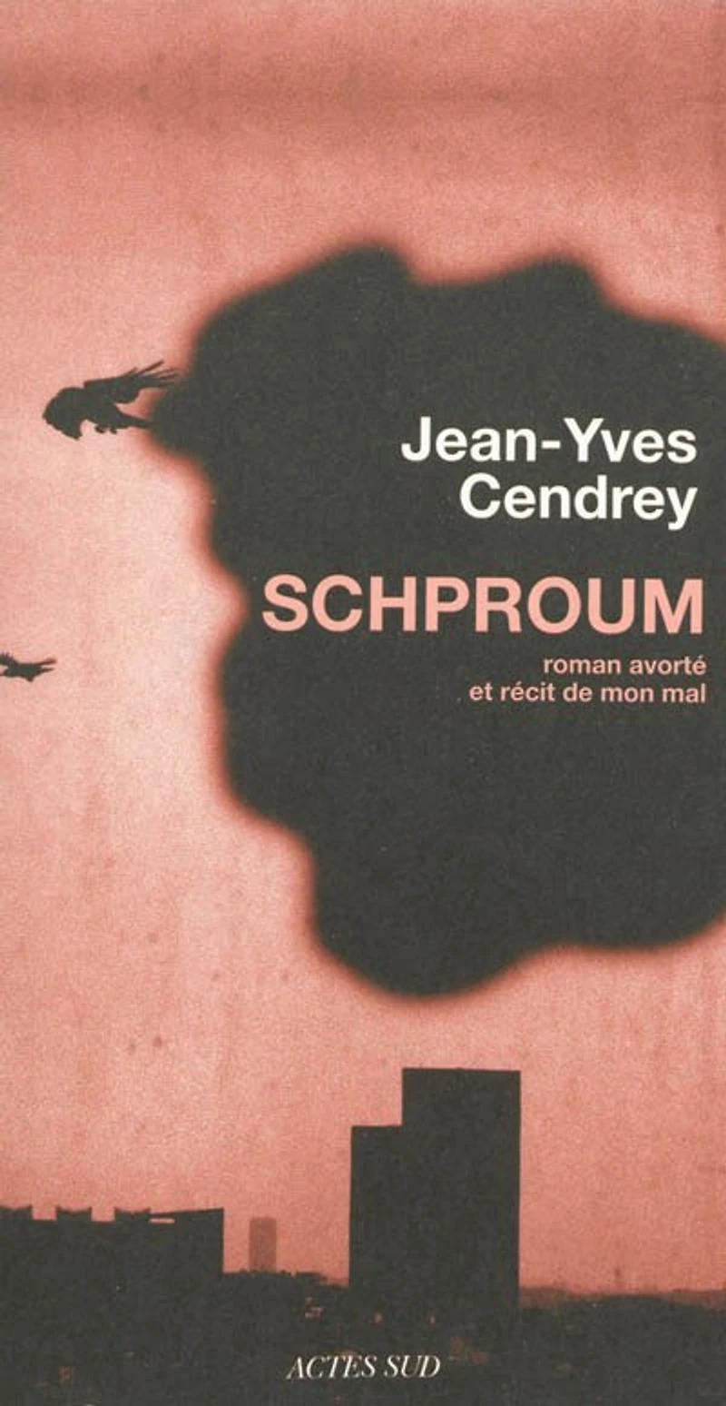 Schproum: roman avorté et récit de mon mal