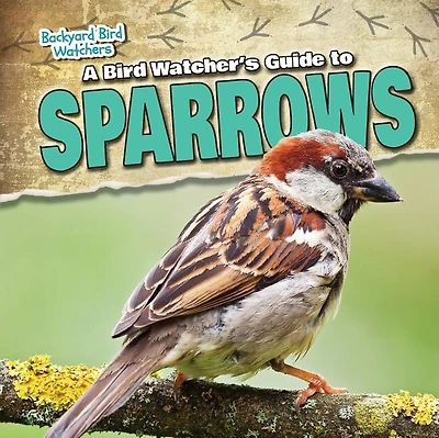 A Bird Watcher's Guide to Sparrows