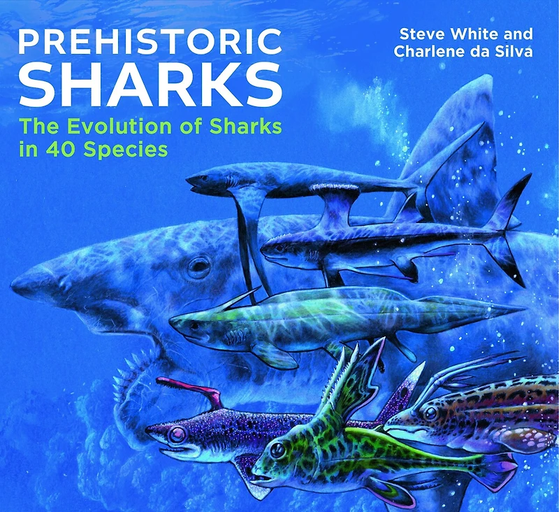 Prehistoric Sharks: The Evolution of Sharks in 40 Species