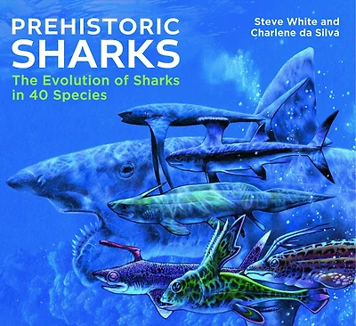 Prehistoric Sharks: The Evolution of Sharks in 40 Species