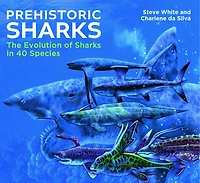 Prehistoric Sharks: The Evolution of Sharks in 40 Species