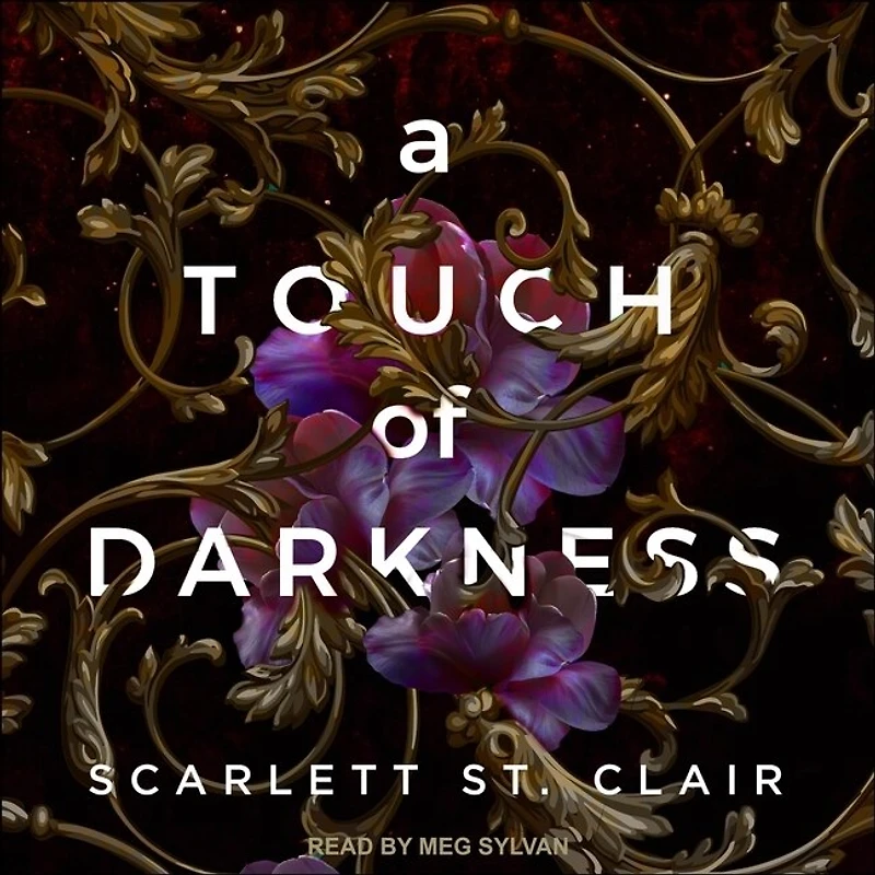 A Touch of Darkness Lib/E