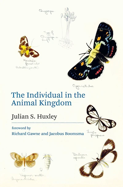 the Individual Animal Kingdom