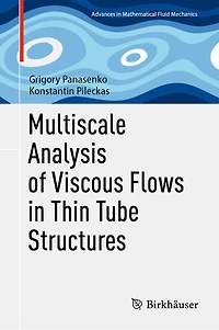 Multiscale Analysis of Viscous Flows Thin Tube Structures