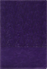 Amplified Holy Bible, Large Print, Leathersoft, Purple: Captures the Full Meaning Behind Original Greek and Hebrew