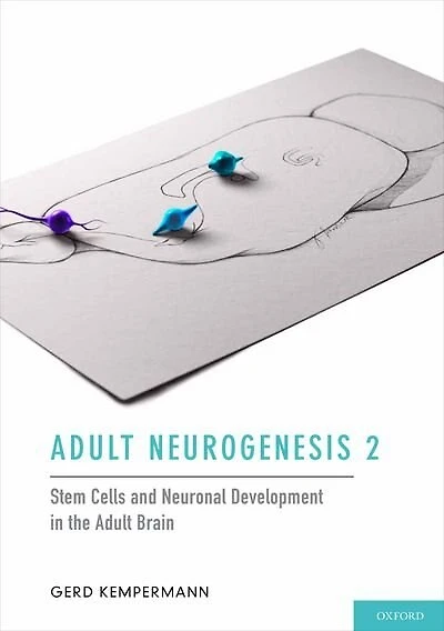 Adult Neurogenesis: Stem Cells and Neuronal Development the Brain