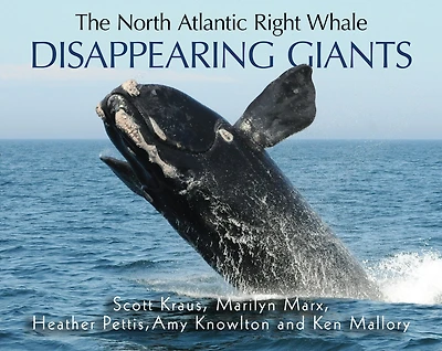 Disappearing Giants: The North Atlantic Right Whale