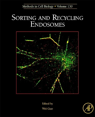 Sorting and Recycling Endosomes