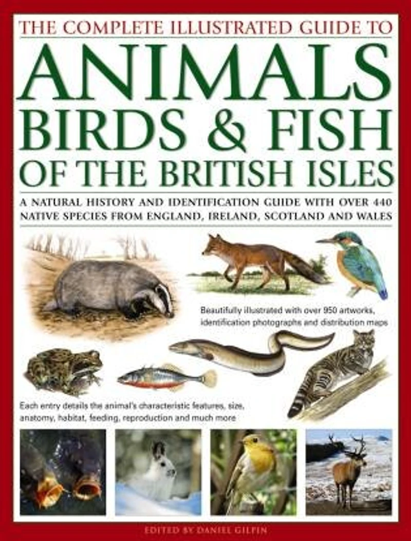the Complete Illustrated Guide to Animals, Birds & Fish of British Isles: A Natural History And Identification With Over 440 Native Species From England, Ireland, Scotland Wales, Beautifully 950 Artworks