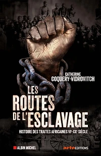 Les routes de l'esclavage: histoire des traites africaines, VIe-XXe siècle