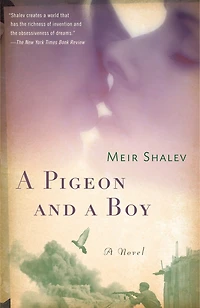 A Pigeon and Boy: Novel