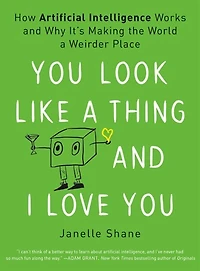 You Look Like A Thing And I Love You: How Artificial Intelligence Works Why It's Making The World Weirder Place