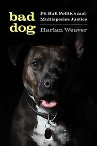 Bad Dog: Pit Bull Politics And Multispecies Justice