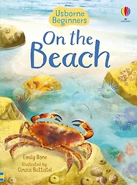 Beginners: On the Beach