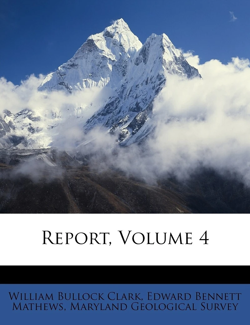 Report