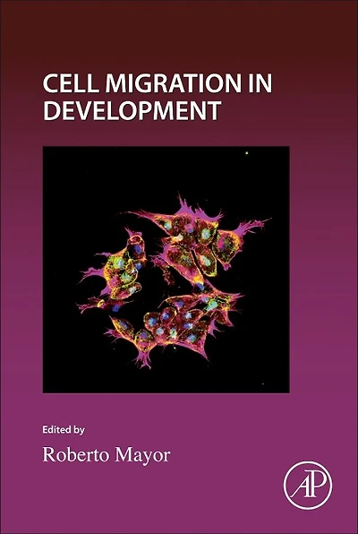 Cell Migration Development