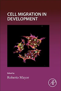 Cell Migration Development