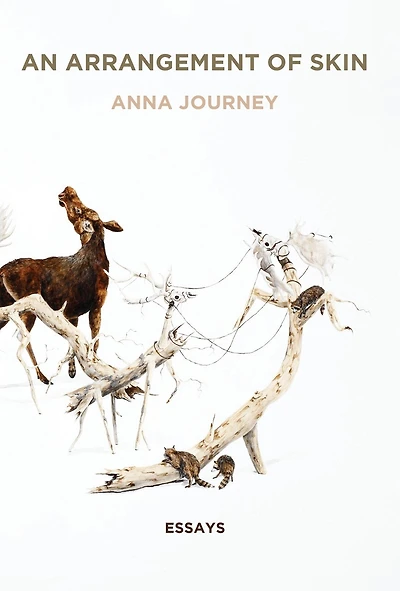 An Arrangement of Skin: Essays