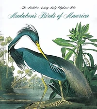 Audubon's Birds of America: The Audubon Society Baby Elephant Folio