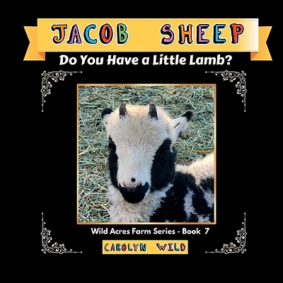 Jacob Sheep: Do You Have A Little Lamb?