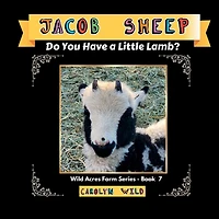 Jacob Sheep: Do You Have A Little Lamb?