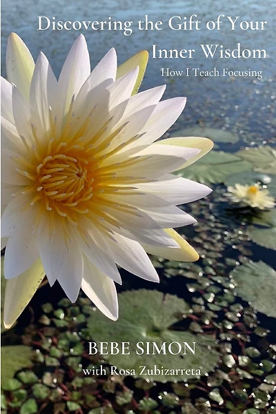 Discovering the Gift of Your Inner Wisdom: How I Teach Focusing