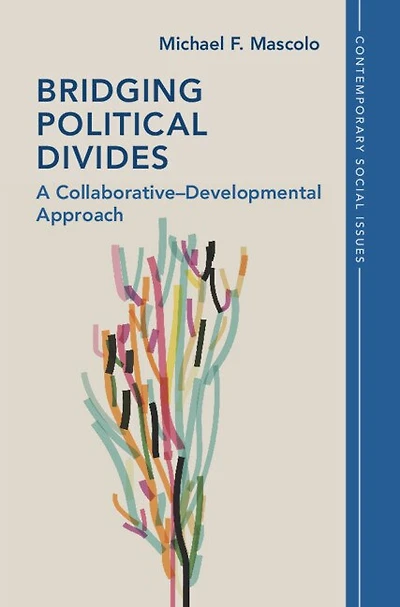 Bridging Political Divides: A Collaborative–Developmental Approach