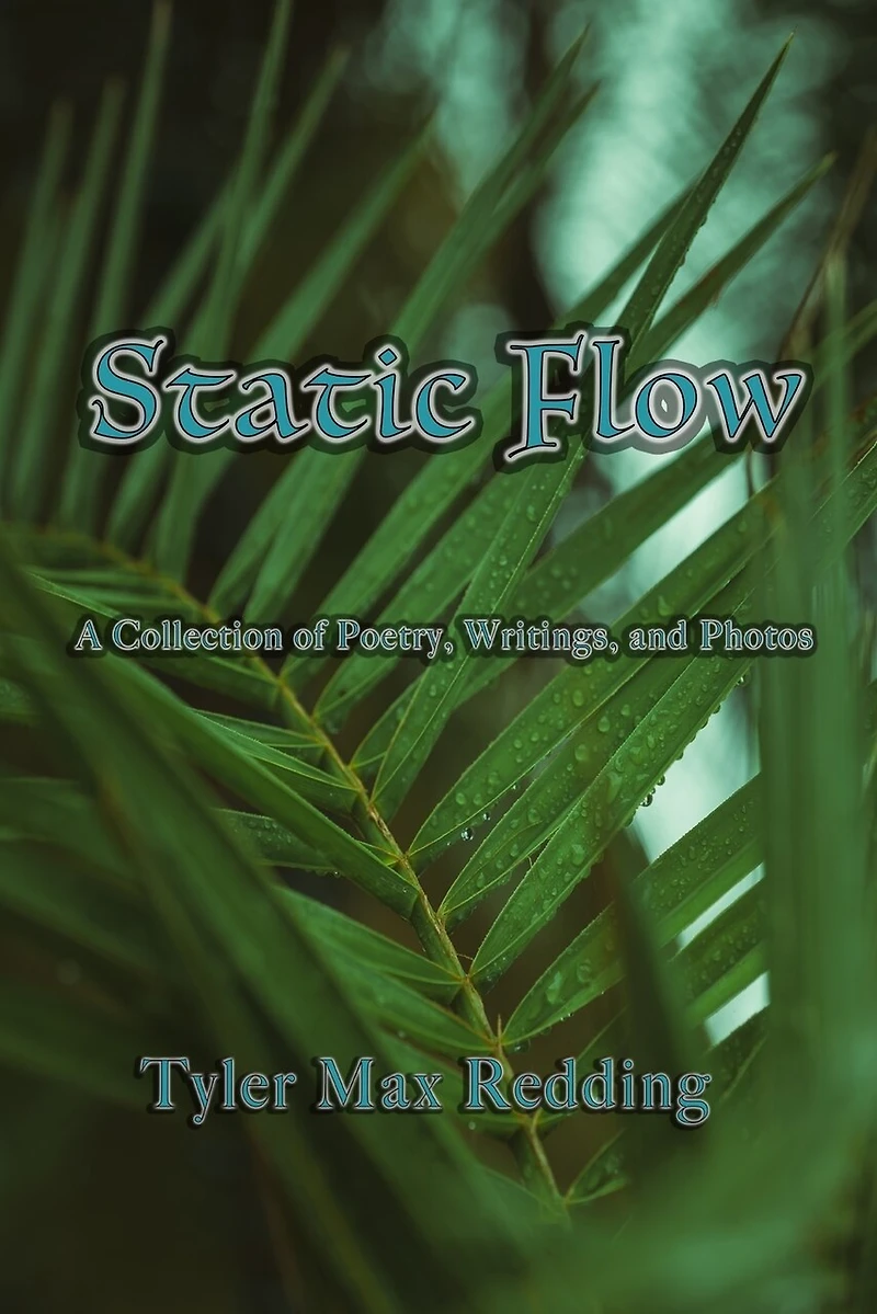 Static Flow