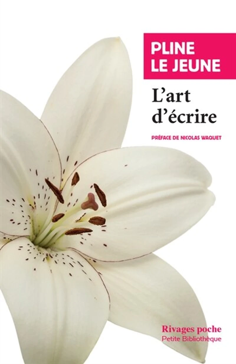L' art d'écrire
