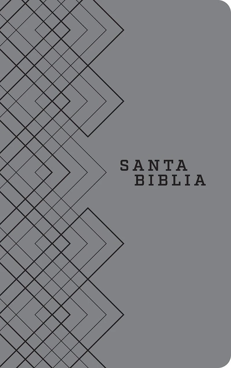 Santa Biblia NTV, Edición ágape (SentiPiel, Gris)