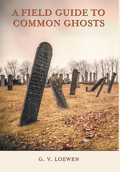 A Field Guide to Common Ghosts